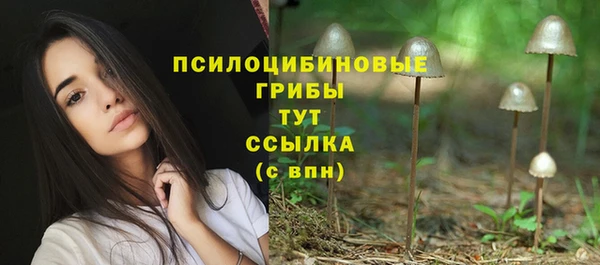 ГАЛЛЮЦИНОГЕННЫЕ ГРИБЫ Ельня