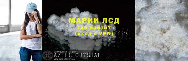 ГАЛЛЮЦИНОГЕННЫЕ ГРИБЫ Ельня