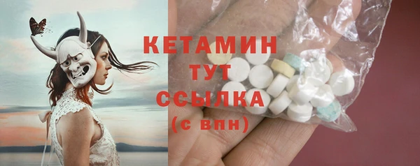 ГАЛЛЮЦИНОГЕННЫЕ ГРИБЫ Ельня