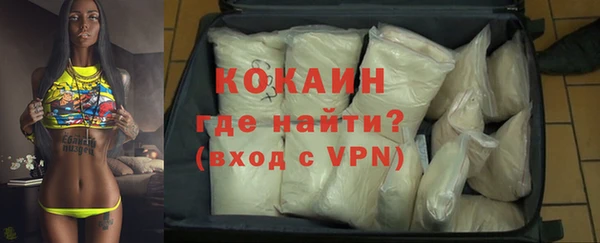 ГАЛЛЮЦИНОГЕННЫЕ ГРИБЫ Ельня