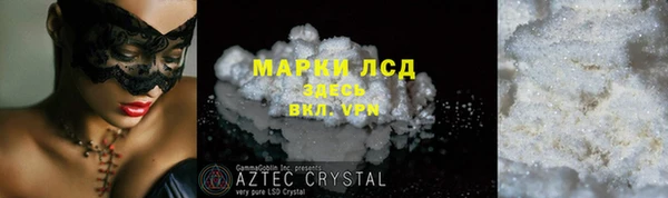 ГАЛЛЮЦИНОГЕННЫЕ ГРИБЫ Ельня