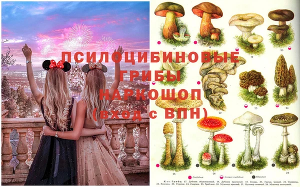 ГАЛЛЮЦИНОГЕННЫЕ ГРИБЫ Ельня