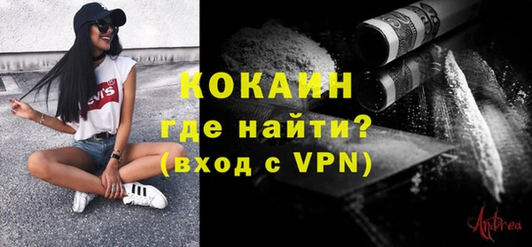 ГАЛЛЮЦИНОГЕННЫЕ ГРИБЫ Ельня