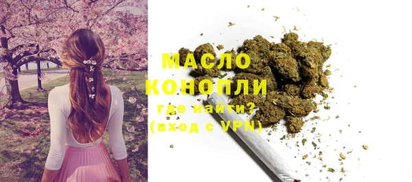 ГАЛЛЮЦИНОГЕННЫЕ ГРИБЫ Ельня