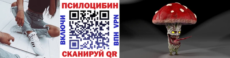 Галлюциногенные грибы мицелий  Купить  Александровск-Сахалинский 